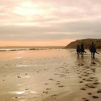 students walking on beach at sunset