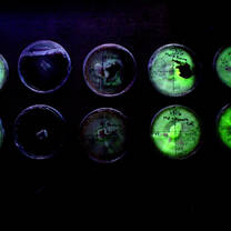 Bioluminescent Mushroom Research