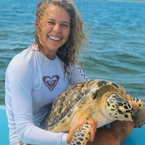 First hawksbill turtle we caught and tagged in 2016