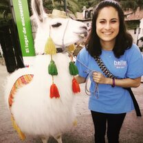 Cerro San Cristobal Llama