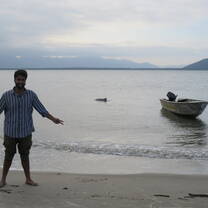 Dolphins on the Islands off Cananeia