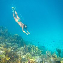Free diving in one of abaco's protected reefs