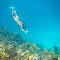 Free diving in one of abaco's protected reefs