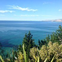 Hawke's Bay field course 