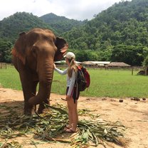 Meeting an Elephant