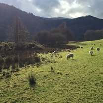 County Wicklow 