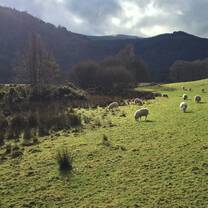 County Wicklow 