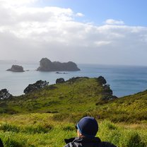 Coromandel 