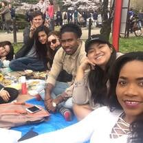 people having a picnic on grass
