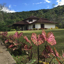 The Research Center