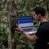 Bioacoustics Research
