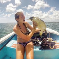 Capturing turtles