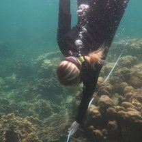 Coral studies in Koh Tao