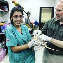 Physical examinations for reptiles and birds 