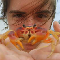 Broadreach: Bahamas Marine Biology
