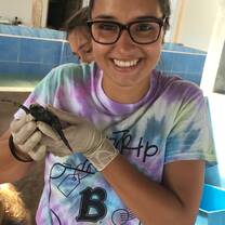 sea turtle conservatory 