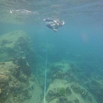 Snorkeling in Koh Tao