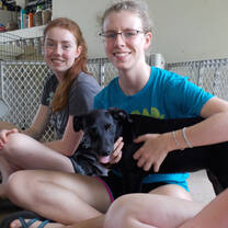 Puerto Rico Veterinary Medicine 12 Day Adventure