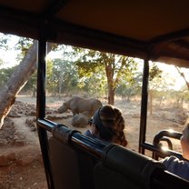 black rhino on game drive