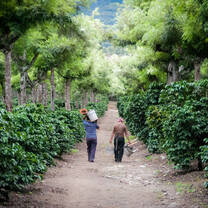 Guatemala Programs | Operation Groundswell