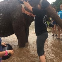 Elephant nature park 