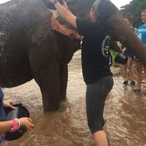 Elephant nature park 