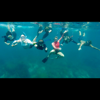 free diving in Koh Tao