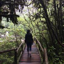 Rain forest!