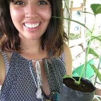 Reforestation 