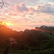 The view!