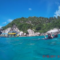 Shark bay