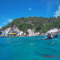 Shark bay
