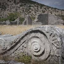 Doclea