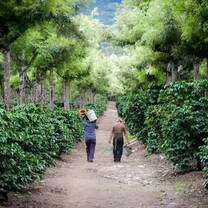 Guatemala Programs | Operation Groundswell