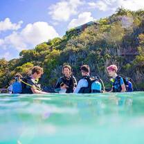ActionQuest:  Summer Adventure Program in British Virgin Islands