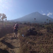 hiking my the volcano to pick coffee cherries!