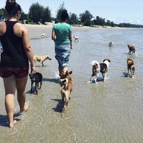 Daily Beach Walk