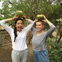 Cut open fresh coconuts and then planted orange tree seedlings after we drank all of them contents.