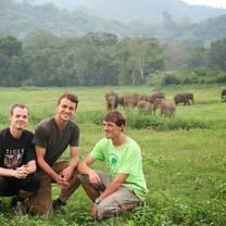 Volunteers monitoring the elephants