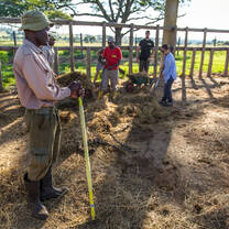 Volunteers Working