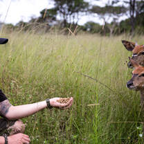 Wildlife