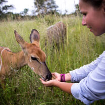 Feeding wildlife
