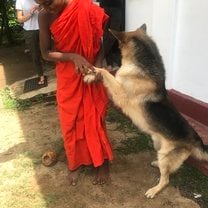 Teaching
