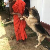 Teaching