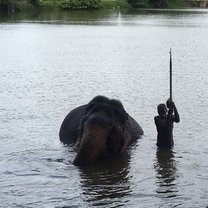 Mahood in the water 