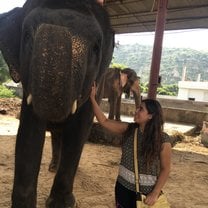 India 2017