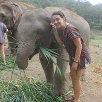 Elephant adventure is a must!