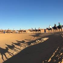 Sahara visit