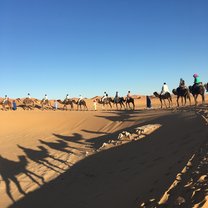 Sahara visit