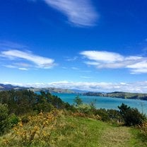 Coromandel 